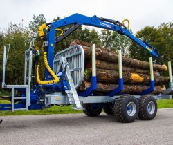 Binderberger Rückewagen mit geladenen Baumstämmen